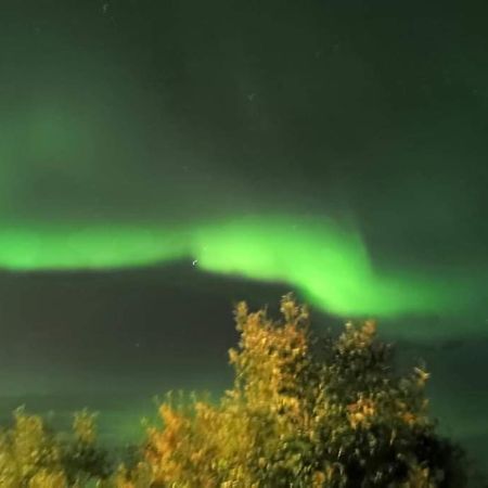 Aurora Rooms In Shared Apartment Nr1 We Are Doing Privet Northen Light Trip, Reindeer Trip And Sommaroy Fjord Trip Tromso Exterior photo