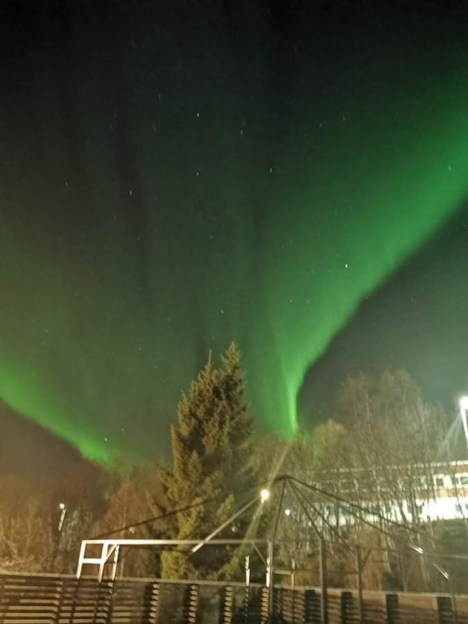 Aurora Rooms In Shared Apartment Nr1 We Are Doing Privet Northen Light Trip, Reindeer Trip And Sommaroy Fjord Trip Tromso Exterior photo