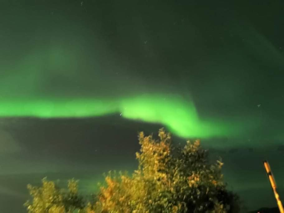 Aurora Rooms In Shared Apartment Nr1 We Are Doing Privet Northen Light Trip, Reindeer Trip And Sommaroy Fjord Trip Tromso Exterior photo